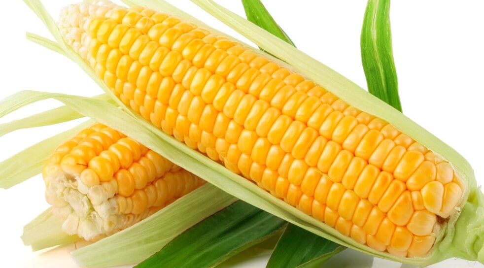 كيف تستفيد من فوائد الذرة الصفراء في أطعمتكِ من الناحية الصحية؟