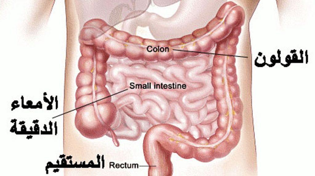 علاج إلتهاب القولون مع التعرف علي الاسباب والاعراض وطرق الوقاية من امراض القولون