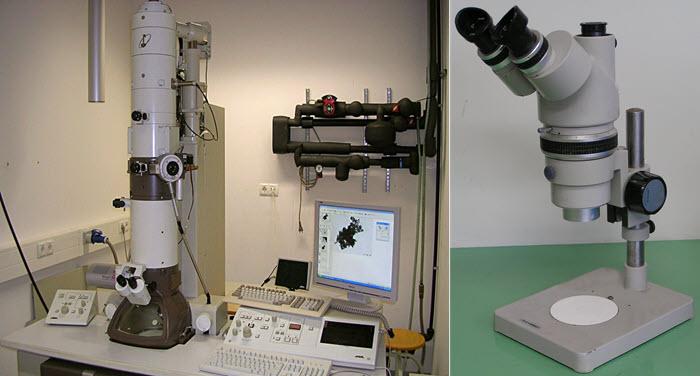 كيف تم اختراع المجهر أو الميكروسكوب وما مبدأ عمله؟