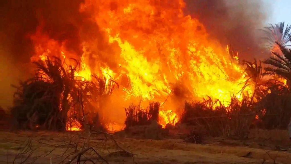 السيطرة على حريق الوادي الجديد بمنطقة الراشدة