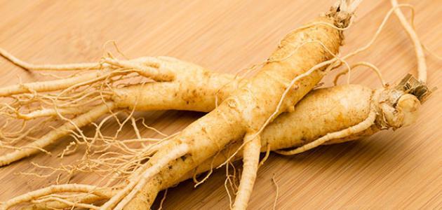 فوائد عشبة الجنسنج Ginseng