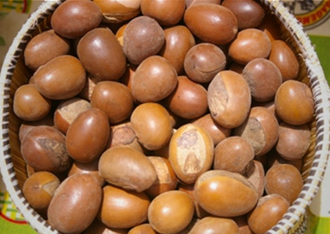 فوائد زبدة الشيا shea butter للجسم