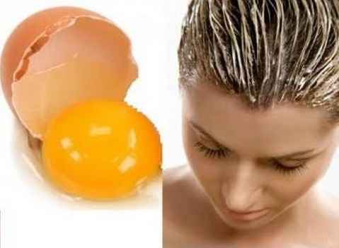 وصفة البيض لعلاج تساقط الشعر