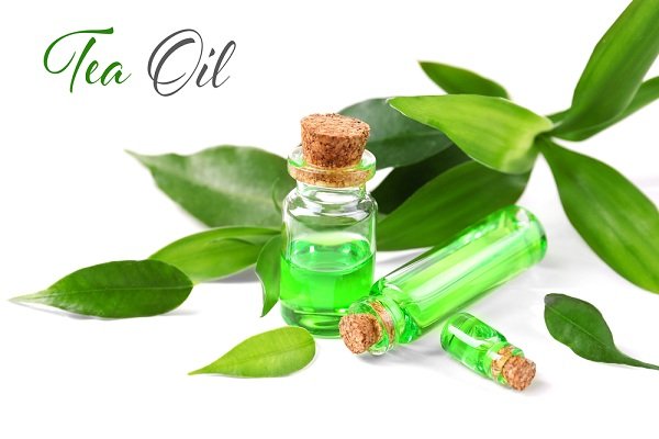 فوائد زيت شجرة الشاي Tea tree oil للجسم