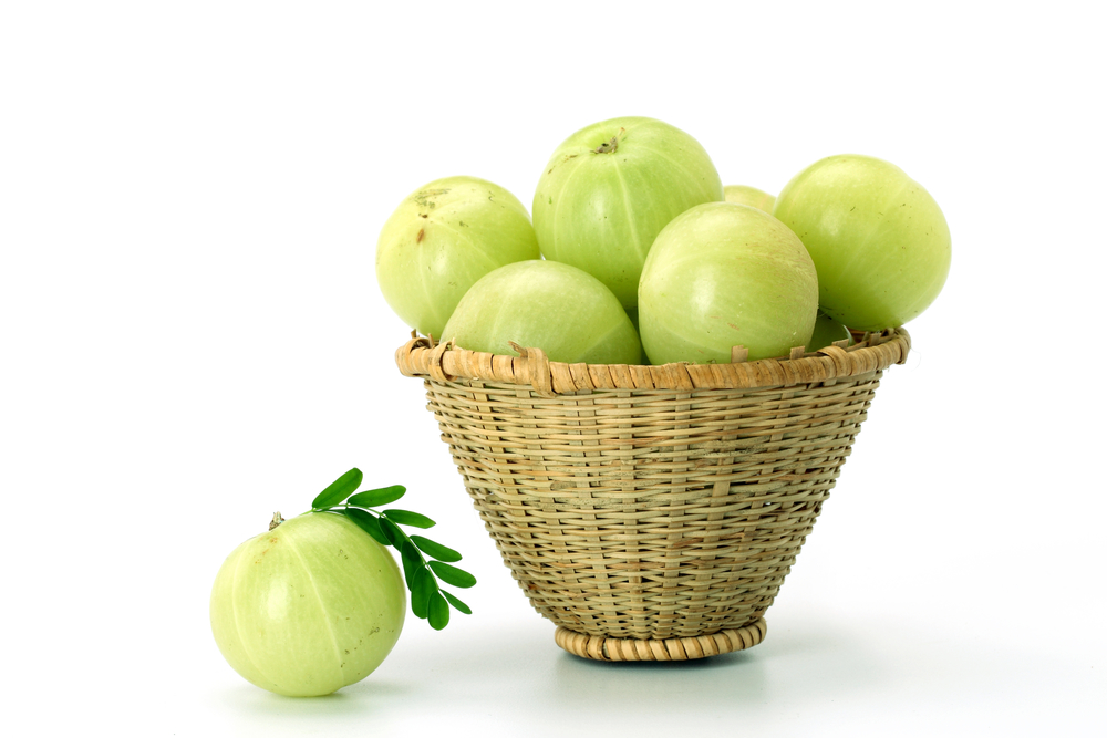 فوائد عشبة الأملج Triphala لصحة الجسم مع التعرف علي أضرارها