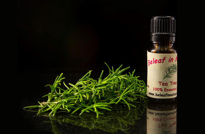 فوائد زيت شجرة الشاي Tea tree oil للبشرة