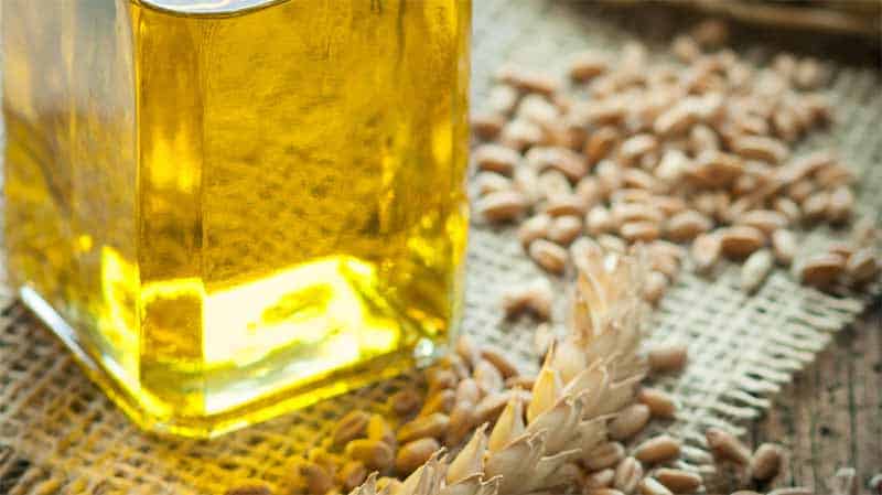 Benefits of wheat germ oil for skin