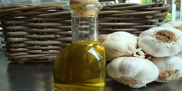 فوائد زيت الثوم Garlic Oil للبشرة و الشعر مع أضراره
