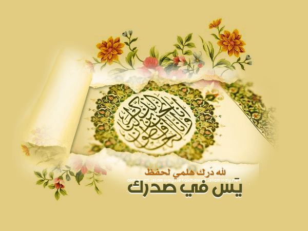 صور و عبارات تهنئة تهاني بمناسبة حفظ القرآن الكريم كاملاً مع أروع رسائل