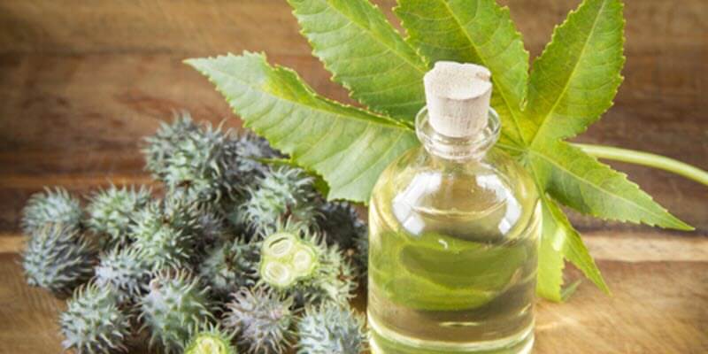 طريقة استخدام زيت الخروع