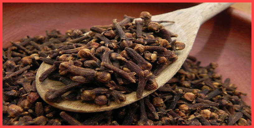 فوائد وأضرار القرنفل Clove مع طريقة الإستخدام في الأغراض المختلفة