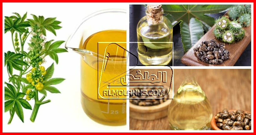 فوائد زيت الخروع