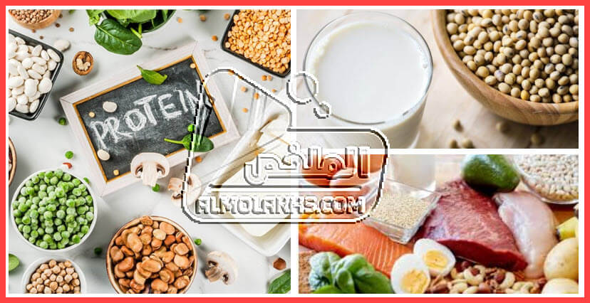 أفضل بروتين لحرق الدهون وبناء العضلات مع نصائح وتعليمات عند تناول البروتين