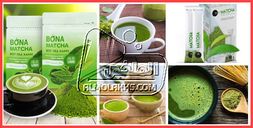 فوائد وأضرار شاي الماتشا Matcha مع طريقة الإستعمال