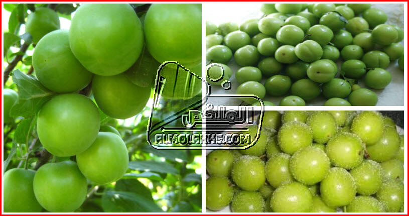 فوائد الجانرك Greengage و طريقة أستعماله مع أضرار وموانع أستخدامه