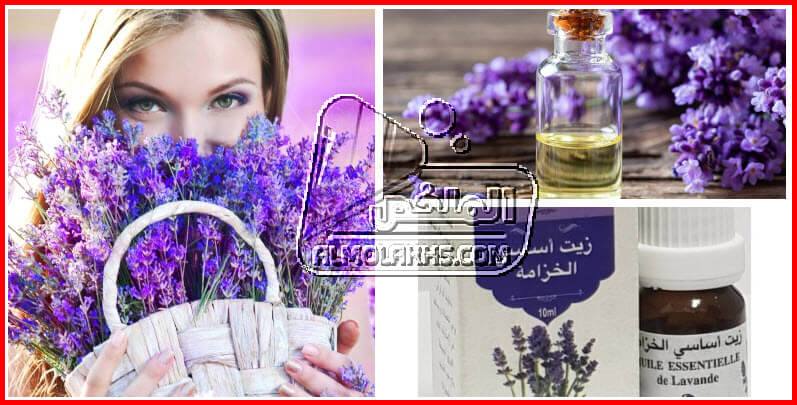 فوائد زيت اللافندر للشعر (الخزامي) وأهم التجارب لاستخدامه في تطويل ونعومة وتكثيف الشعر