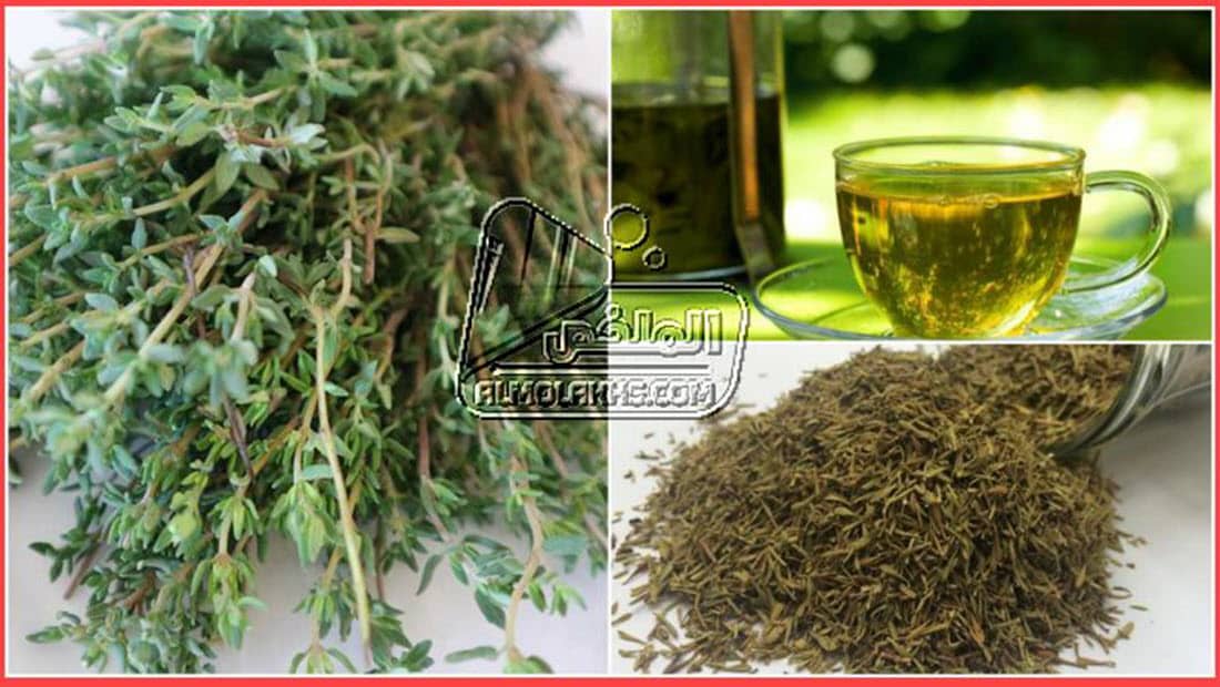 فوائد الزعتر للتخسيس