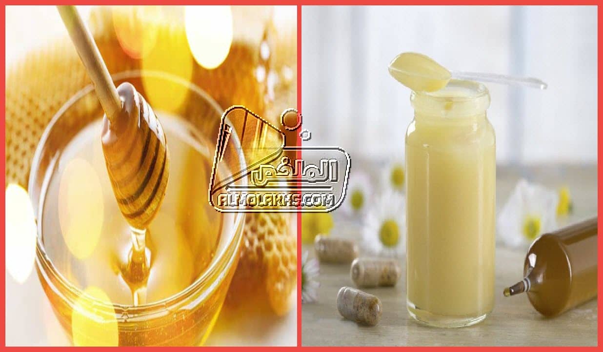 فوائد العسل وغذاء ملكات النحل للنساء