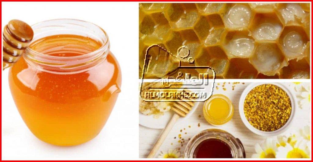 فوائد عسل النحل للرجال مع طريقة استخدام غذاء ملكات النحل للرجال