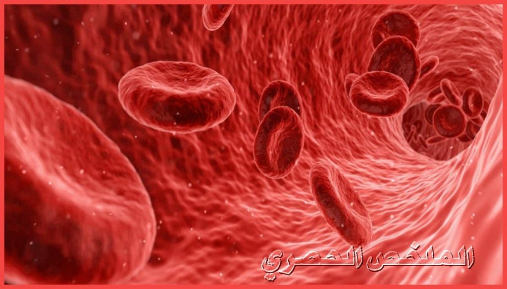طرق تنقية الدم من السموم مع أطعمة للتخلص من السموم بشكل طبيعي