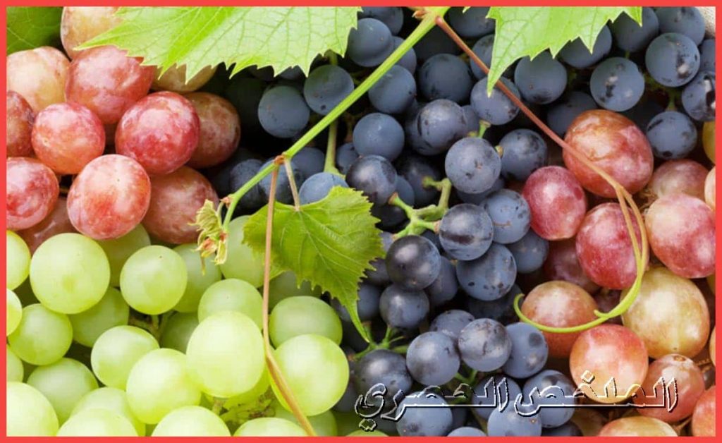 فوائد فاكهة العنب